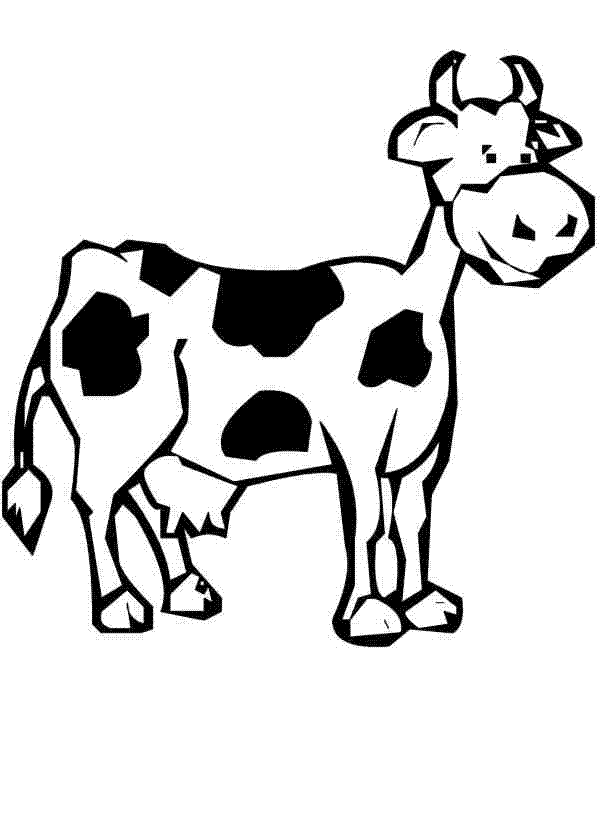 planse desene de colorat vaca vitel taur bou